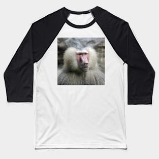 Hamadryas Baboon Baseball T-Shirt